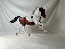 Load image into Gallery viewer, Copperfox Welsh Cob Bertie