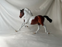 Load image into Gallery viewer, Copperfox Welsh Cob Bertie