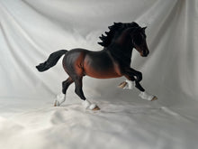 Load image into Gallery viewer, Copperfox Welsh Cob Celtic Warrior