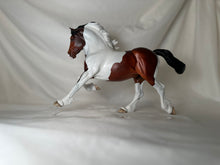 Load image into Gallery viewer, Copperfox Welsh Cob Bertie