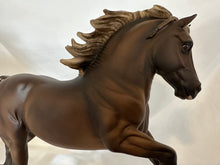 Load image into Gallery viewer, Copperfox Welsh Cob Custom Badger Face