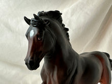 Load image into Gallery viewer, Copperfox Welsh Cob Celtic Warrior