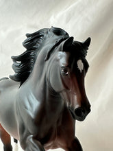 Load image into Gallery viewer, Copperfox Welsh Cob Celtic Warrior