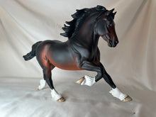 Load image into Gallery viewer, Copperfox Welsh Cob Celtic Warrior