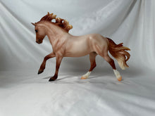 Load image into Gallery viewer, BreyerFest 2022 Special Run Rapunzel Strawberry Roan Fjord Mare