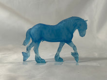 Load image into Gallery viewer, Copperfox Seahorse Winston Shire Coppercubs