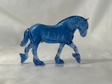 Load image into Gallery viewer, Copperfox Seahorse Winston Shire Coppercubs