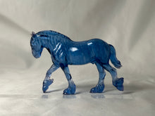 Load image into Gallery viewer, Copperfox Seahorse Winston Shire Coppercubs