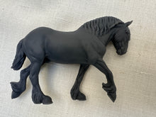 Load image into Gallery viewer, Copperfox Winston Shire Solid Coppercub Blank Canvas