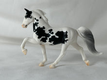 Load image into Gallery viewer, Breyer Alana Stablemates Club 2025 Tennessee Walking Horse