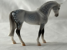 Load image into Gallery viewer, Stablemates Club Dylan