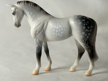 Load image into Gallery viewer, Stablemates Club Dylan