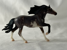 Load image into Gallery viewer, Stablemates Club Mirado