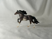 Load image into Gallery viewer, Stablemates Club Mirado