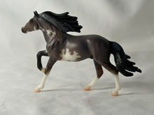 Load image into Gallery viewer, Stablemates Club Mirado