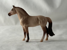 Load image into Gallery viewer, Warmblood Mare