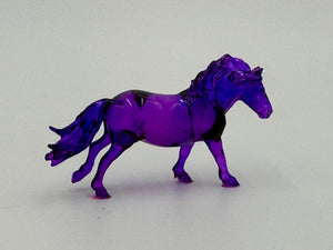Scamp Shetland Pony Cross Live 9-30