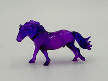Load image into Gallery viewer, Scamp Shetland Pony Cross Live 9-30