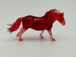 Scamp Shetland Cross Red Live 9-30