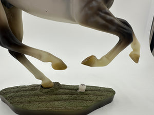 Breyer Santiago Polo Pony with player and tack! Live 9-30