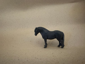 MacDougal Highland Pony Blank Canvas ? Scale
