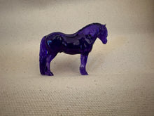 Load image into Gallery viewer, MacDougal, Highland  Pony Test