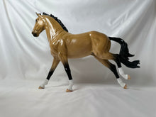 Load image into Gallery viewer, Copperfox Irish Sport Horse Jasper