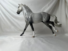 Load image into Gallery viewer, Copperfox Irish Sport Horse Toby Glossy