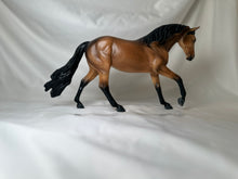 Load image into Gallery viewer, Copperfox Connemara Pony Buckskin