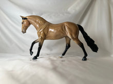 Load image into Gallery viewer, Copperfox Connemara Pony Buckskin