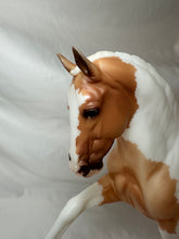 Load image into Gallery viewer, Breyerfest Seize the Day Matte Palomino Tobiano