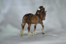 Load image into Gallery viewer, The Shared Journey Collection Winston Shire and Freedom Eagle Set
