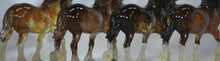 Load image into Gallery viewer, The Shared Journey Collection Winston Shire and Freedom Eagle Set