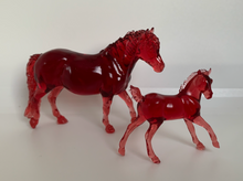 Load image into Gallery viewer, Red Otto &amp; Sadie Exmoor pony Live 9-30